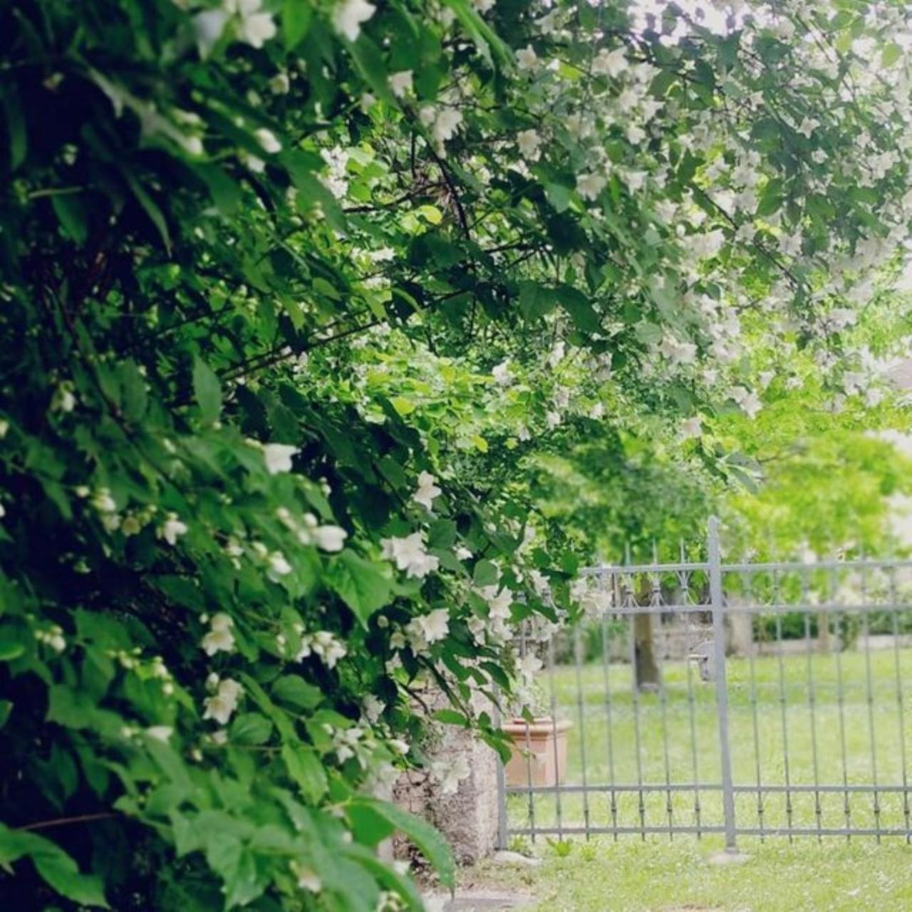 B&B Ernestine Family Home Caneva Екстериор снимка